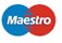 Logo Maestro